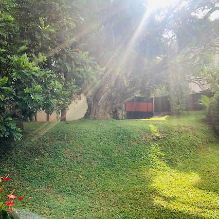47 Alfred House - Free Pickup From Kandy City Esterno foto