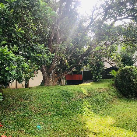 47 Alfred House - Free Pickup From Kandy City Esterno foto