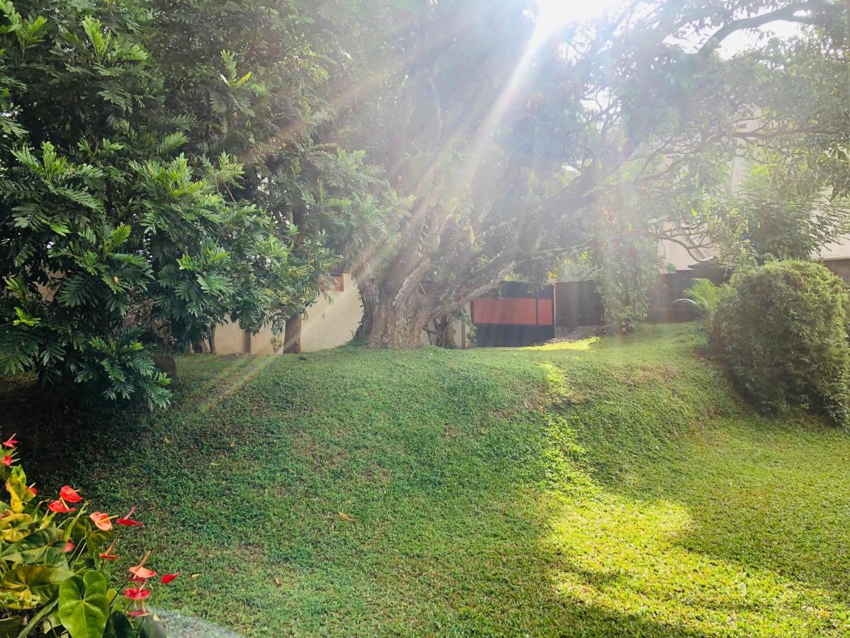 47 Alfred House - Free Pickup From Kandy City Esterno foto