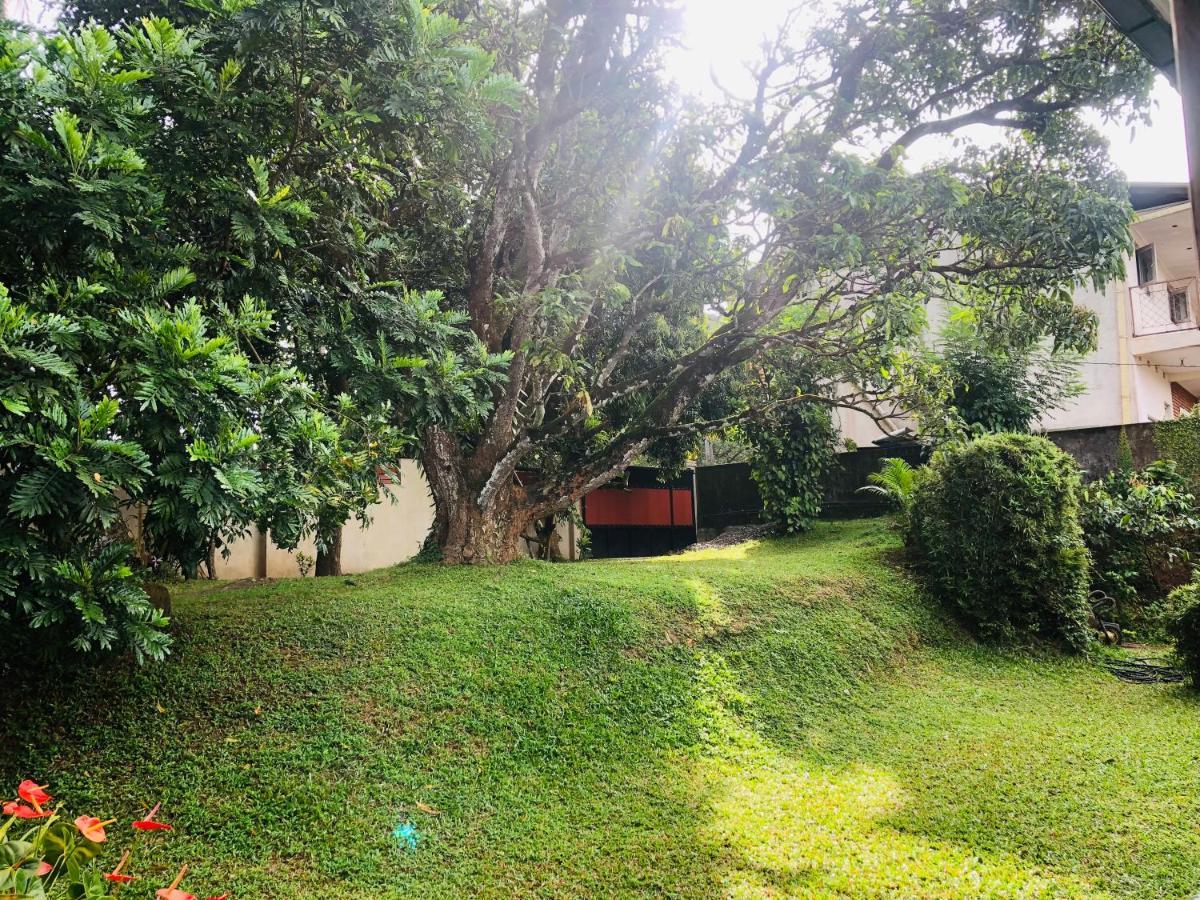 47 Alfred House - Free Pickup From Kandy City Esterno foto